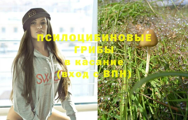 spice Нязепетровск
