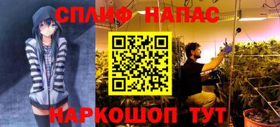 2c-b Будённовск