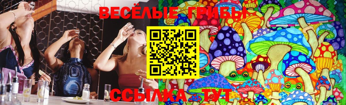 Псилоцибиновые грибы мухоморы  Галлюциногенные грибы Magic Shrooms  Саранск  где можно купить   Вход с VPN 