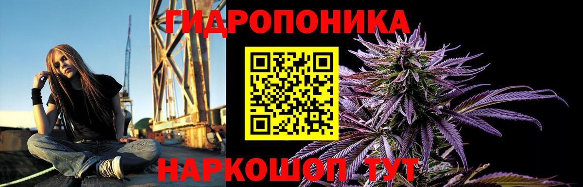 Шишки марихуана планчик  Конопля гибрид  Саранск  Вход с VPN 